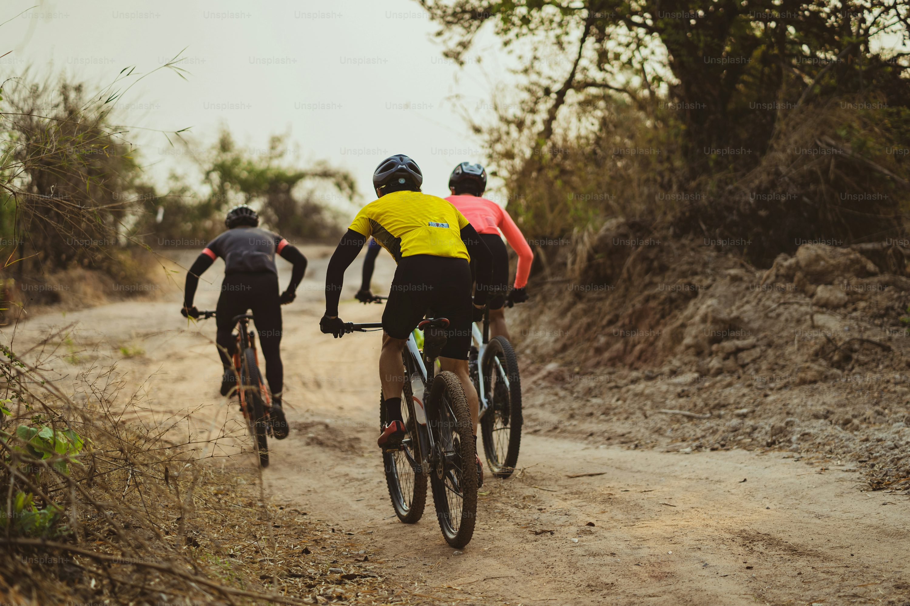 Gruppe von Mountainbiker:innen auf einem Singletrail